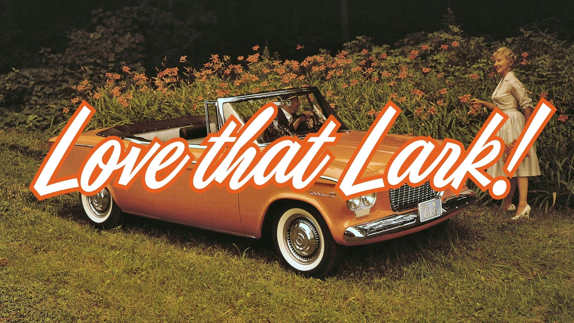 Text reads "Love that Lark!" In the background is a an orange Lark.
