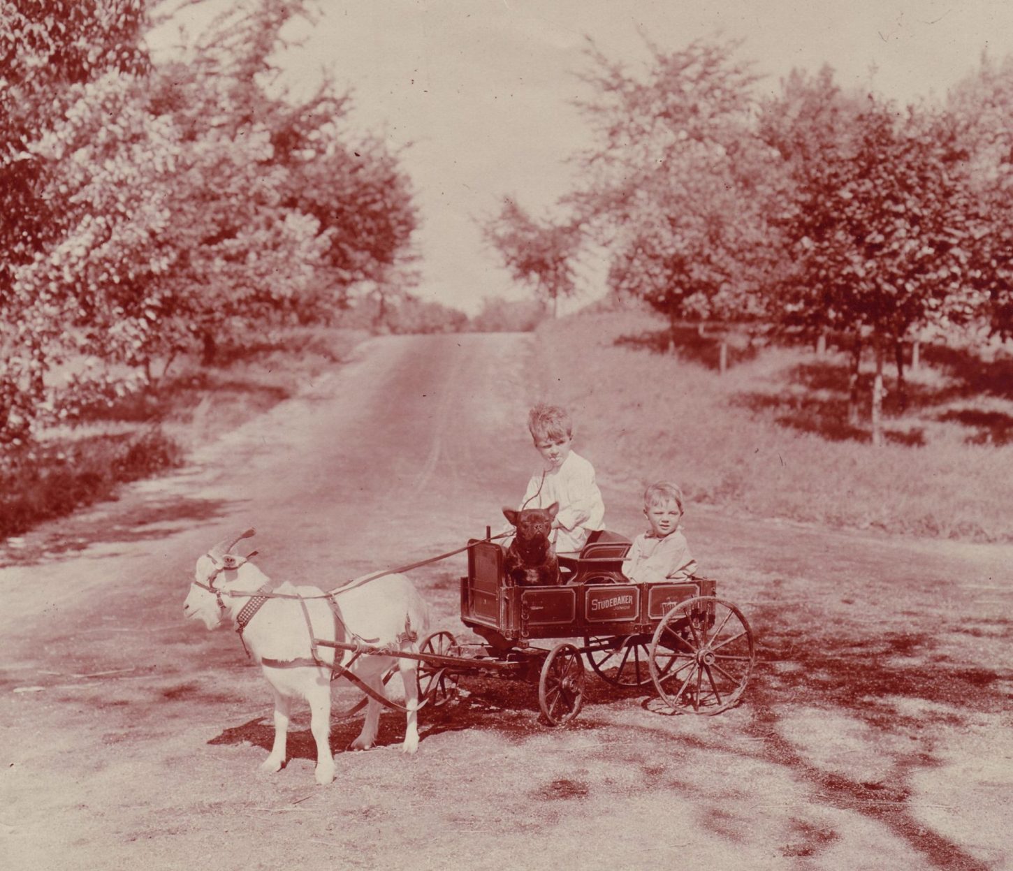kids-wagon